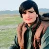 amjad.sallar