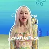 chaelastiica