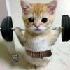 obkyrok_kirill