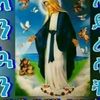 user88167021157445