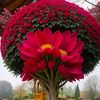 riyad.hossen562