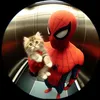 majzinha_spider