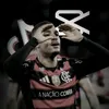 alvs_d