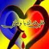 user656620423
