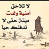 nidaa.alsammarai
