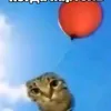 mne_hrenovo_kazhd