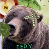tedystay_bearyy