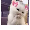 khawla.kl32