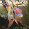 max_floppyfish_on_trek