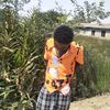bayconkelvin