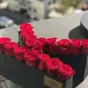 karim.loubaba