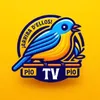 tvpiopio