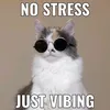 Memes that are not funny