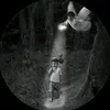 llevii07