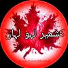 raja.zafar110