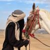 yassmen.ezat2