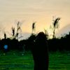 ilhaaney72