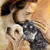 herbert.donis6