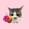 liliy2322