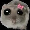 sofiih.7