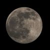 marwa54411