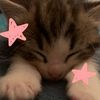 lopyu_lupe1