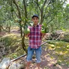 tung.pham211