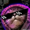 ram.tzy73