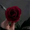 user4122009137784