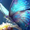 user2040665399993