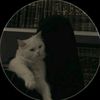 mohona__147