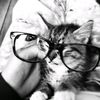 niiaaww28