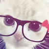 nek.com5