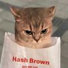 hashbrown605