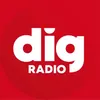 dig_radio