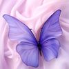 mohammedsamy7943