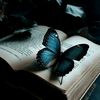 _.samo._7