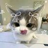 annisa_feb457