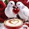 user9734618834006