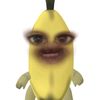 ara8_2