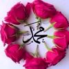 user879500727186