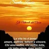 gianluca.schettin5