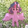 maria_50713