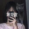 justinaxie_rabbit