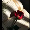 t8_kh5