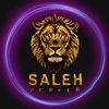 _saleh_2002