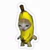 ievdzdbdz1