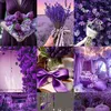 adil29744