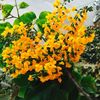 marmar591655