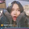 diary.iris